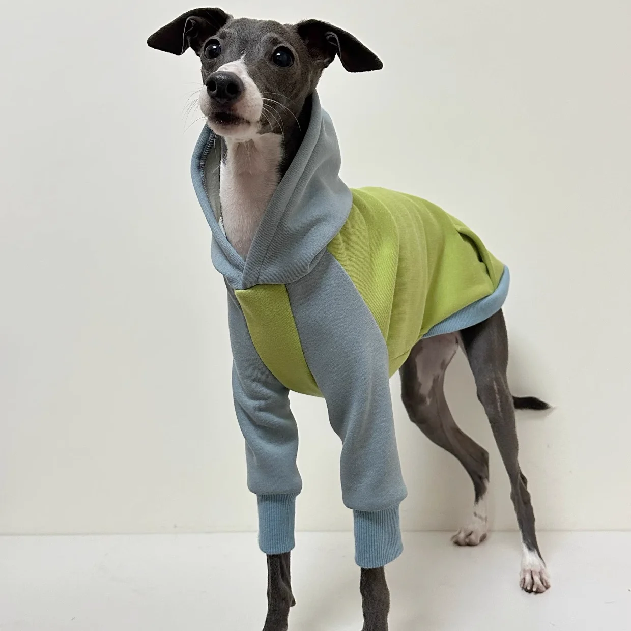 Abrigo de lana verde suave para ropa de perro Huibit, sudadera elástica de primavera y otoño para pijamas con capucha Bedlington Little Greyhound