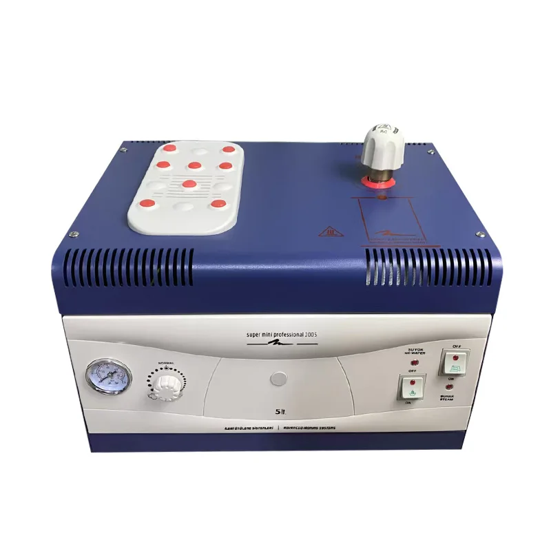 

5L Hanging Bottle Steam Electric Iron Industrial Iron Boiler Household/Industrial Fabric Clothing Curtain Dry Cleaner