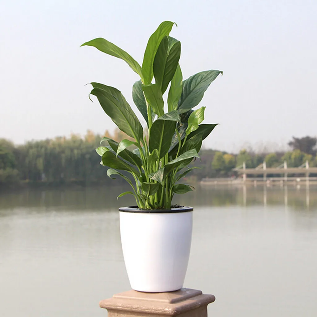 

New Plants Flower Pot Automatic Self Watering Flowerpot With Cotton Rope Plastic Self Watering Planter Garden Plants Basket