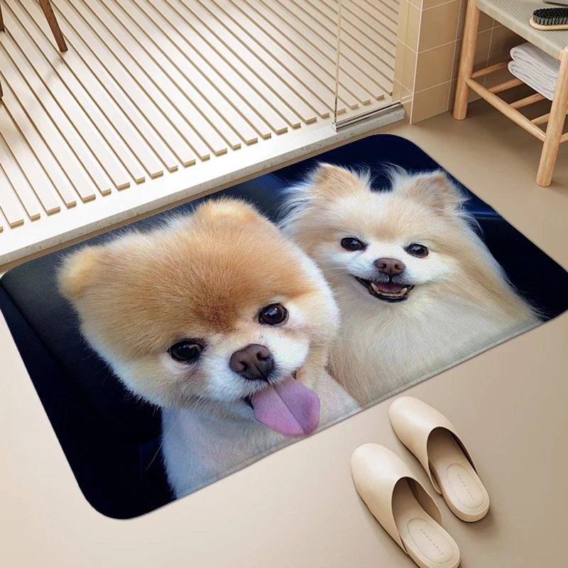 Pomeranian Dog Bathroom Mat Carpet for Bedroom Veranda Floor Mat Doormat Entrance Door Washable Non-slip Kitchen Living Room Rug