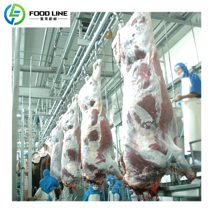 FL Energy Saving Pig Cattle Sheep Slaughter Line Livestock Processing Machine For Rural Area Slaughter Workshop