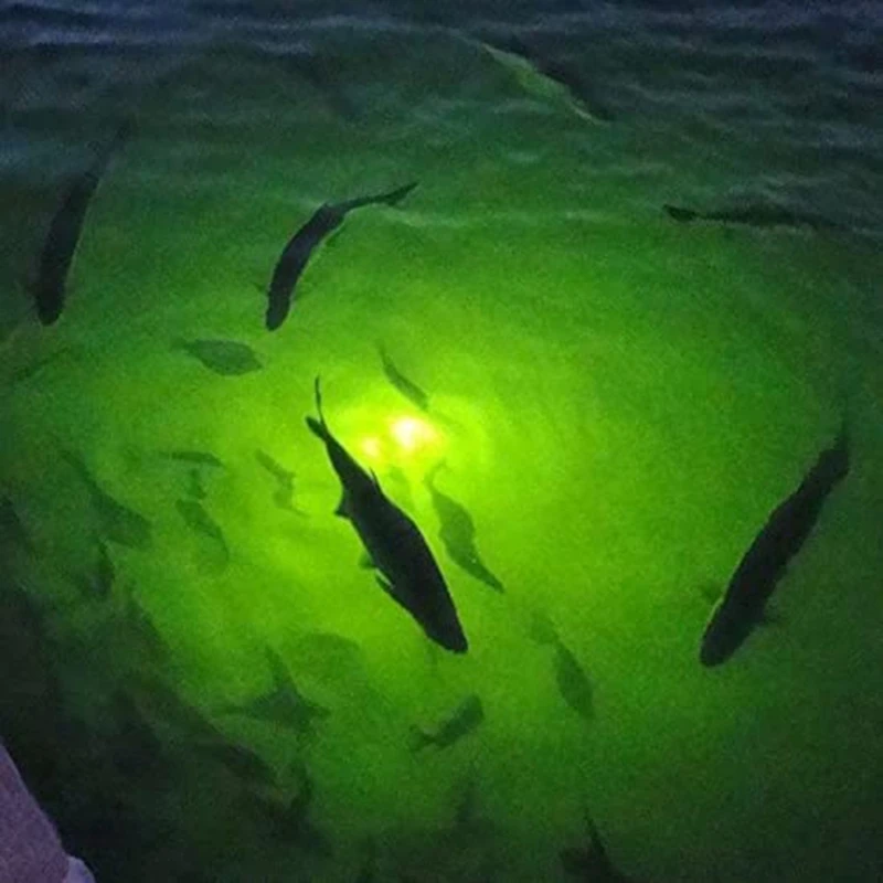 45W DC 12V High Power Super Bright LED Fish Attractants Submersible Underwater Dock Night Fishing Light Lures Fish Lamp