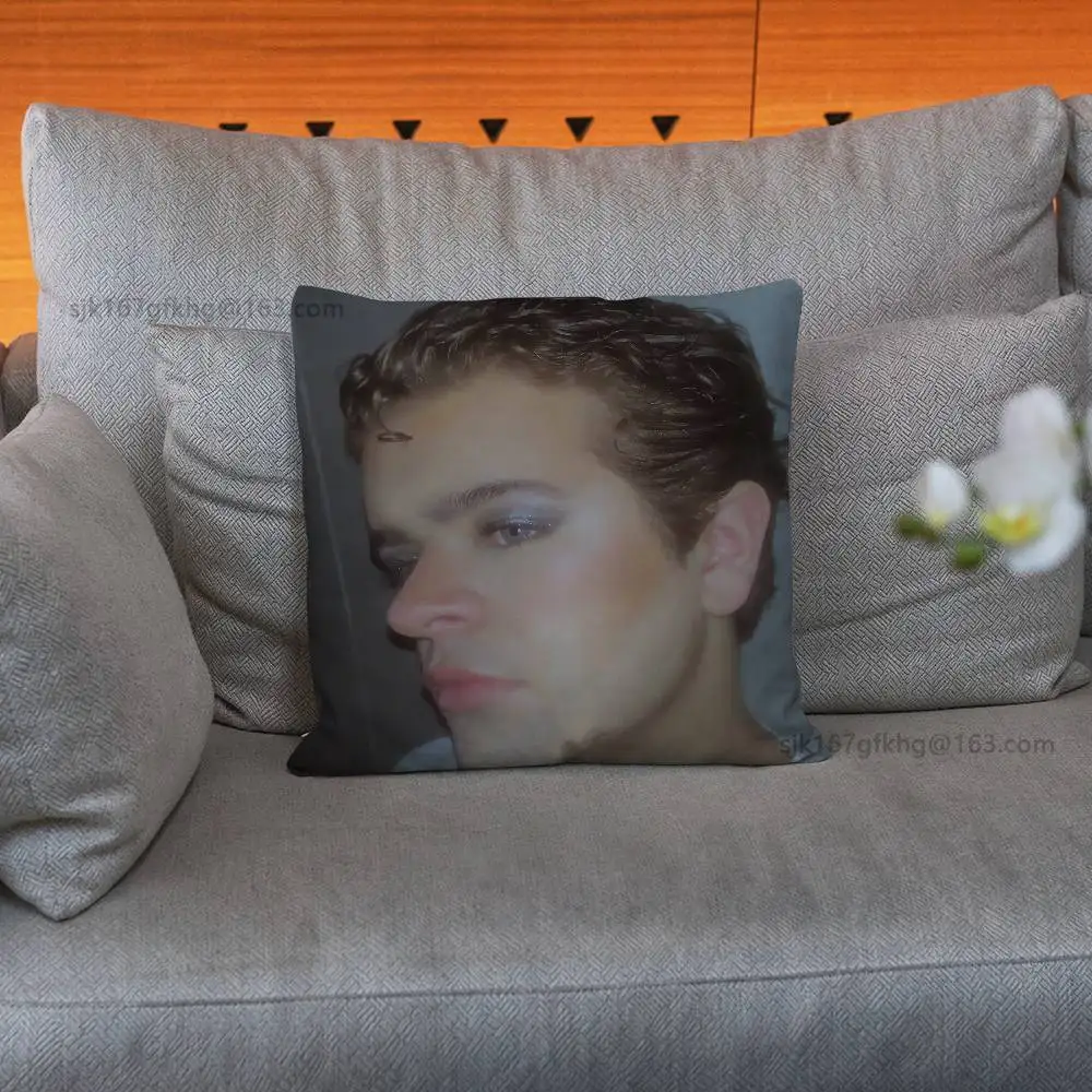Gaten Matarazzo Stranger pillowcase casual style decoration, suitable for home decoration (excluding pillow core)