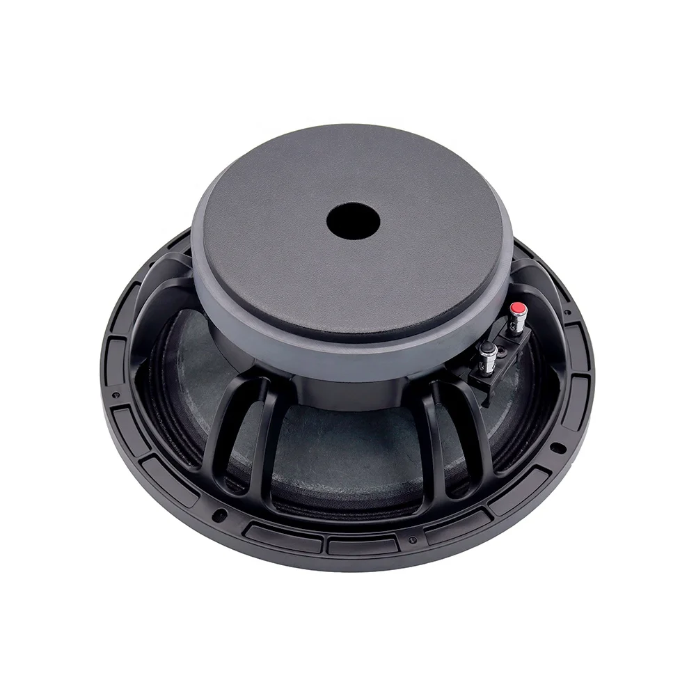 

T-W10L067 10 Inch Line Array Speaker 2.5''Voice Coil 1000W Outdoor Stage Speaker