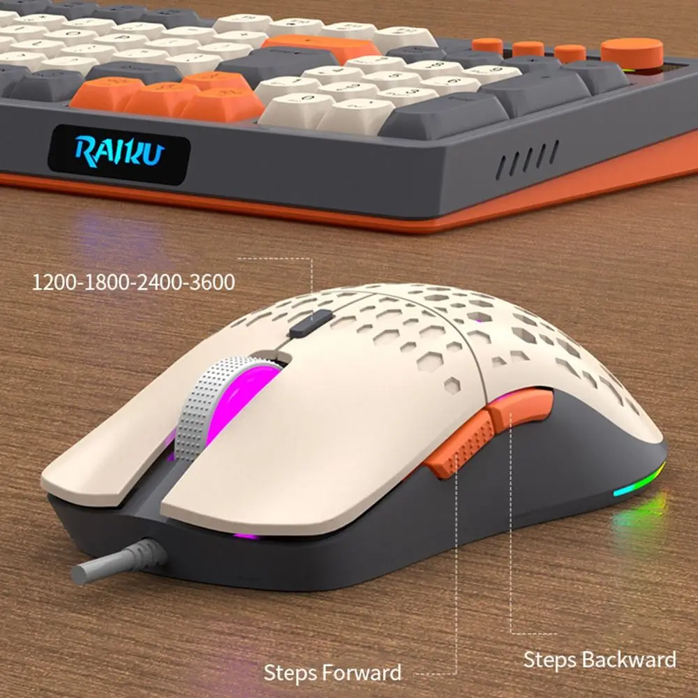 

Подсветка клавиатуры RAIKU T98, 98-клавишная раскладка, RGB-подсветка, набор клавиатуры и мыши, USB-соединение цвета радуги