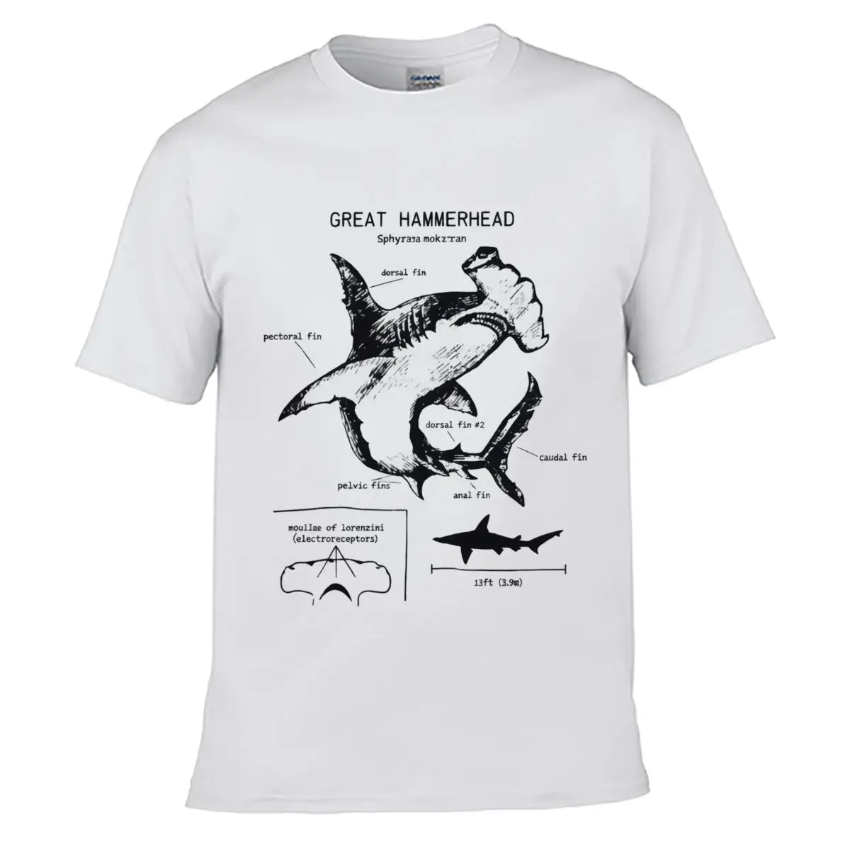 Great Hammerhead Sphyrna Mokarran Anatomy Diagram Thirteen Foot Three Point Nine Meter Solid Washed Vintage Tee Distressed Loose