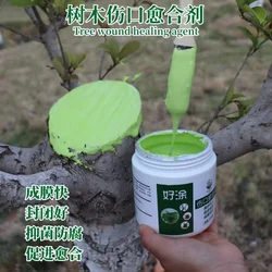 Tree Wound Bonsai Cut Paste Plant Bonsai Cut Wound Paste Smear Grafting Pruning Sealer Tree Repair Ointment Agent Repair Tools