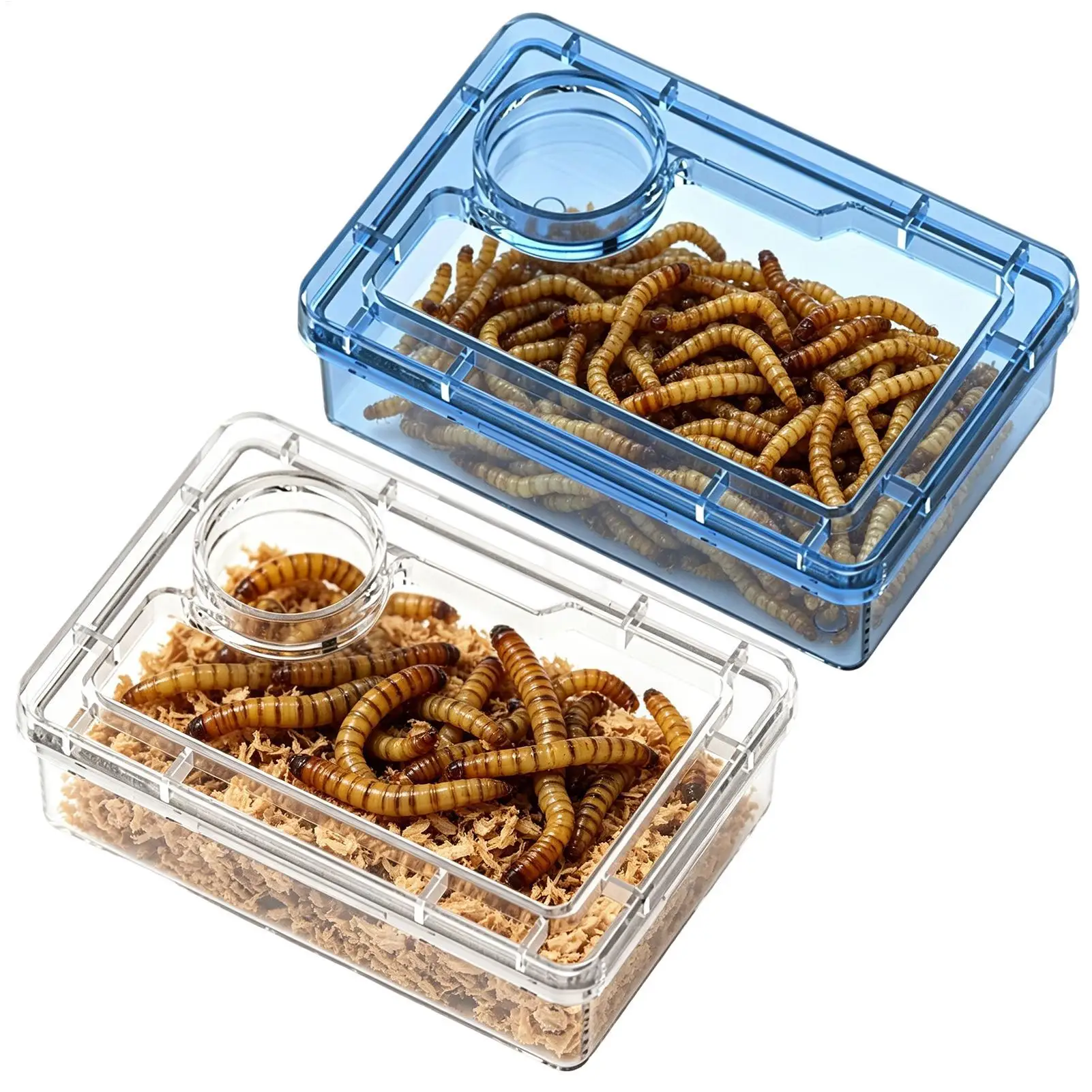 Comedero Antiescape para Reptiles con Compartimentos para Gecko Leopardo, Cangrejo Ermitaño, Rana, Araña, Camaleón, Iguana, Lagarto y Tanques