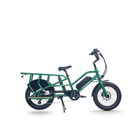 JOBOBIKE Transer Adult Electric Bike 250W Electrical Road Bicycle 48V 26Ah Fatbike MTB E-bike 20 inches Mountain Ebike 25km/h