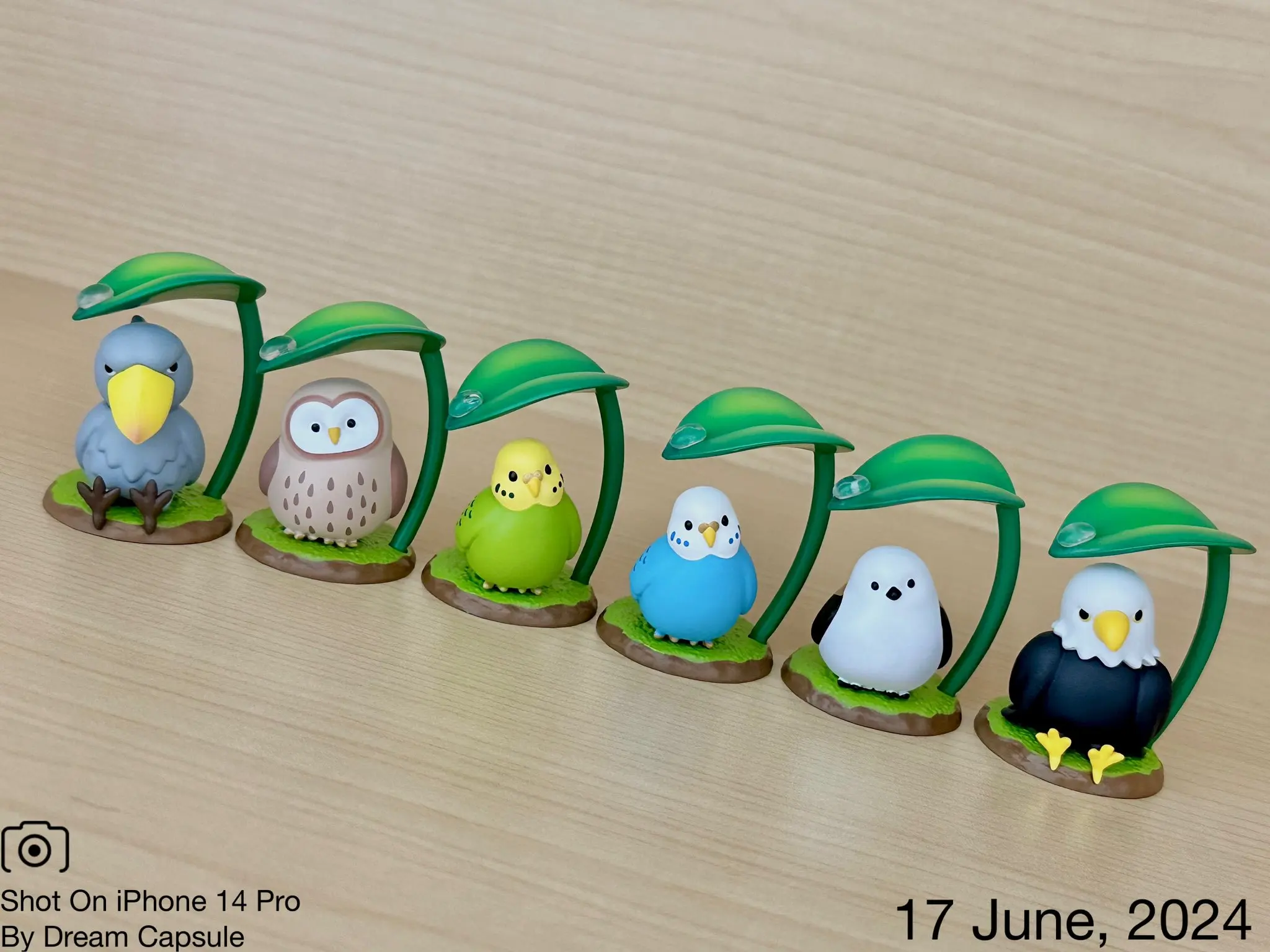 Qualia capsule toy Amayadori mascot figure cute kawaii birds Budgerigar Owl Shoebill Eagle avoid the rain under Leaf Umbrella