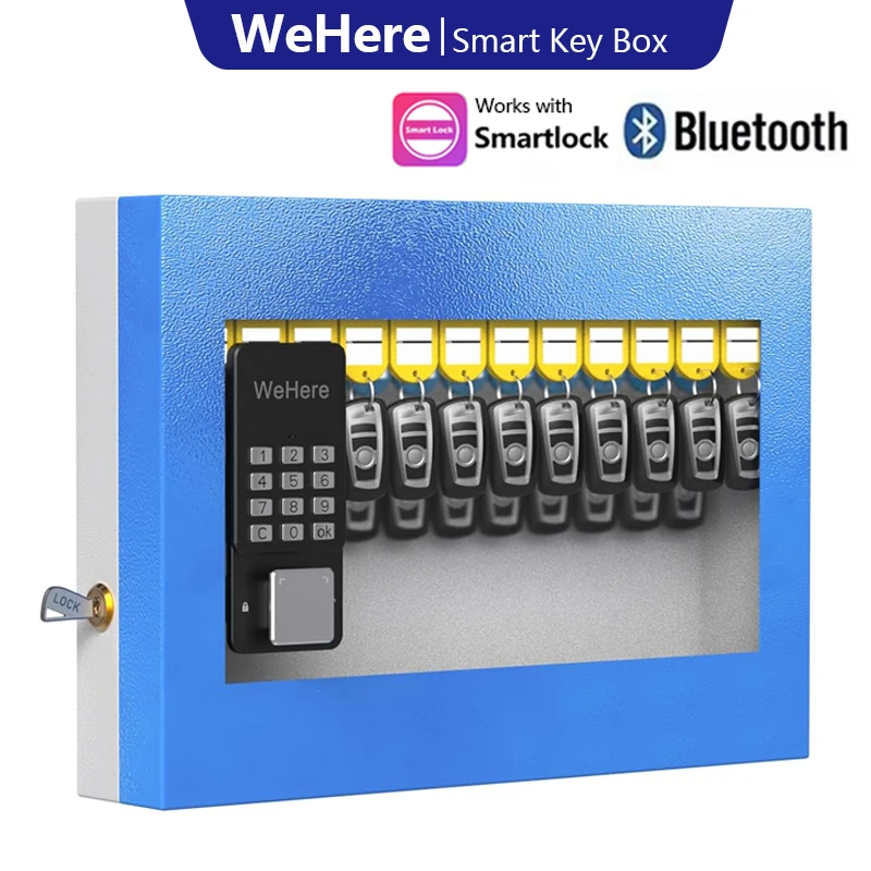WeHere Visualization Window Lock Box Wall Mount,Digital Smart Lock Metal Key Safe Box,OTP/APP Bluetooth/WiFi/Code/Key Unlock