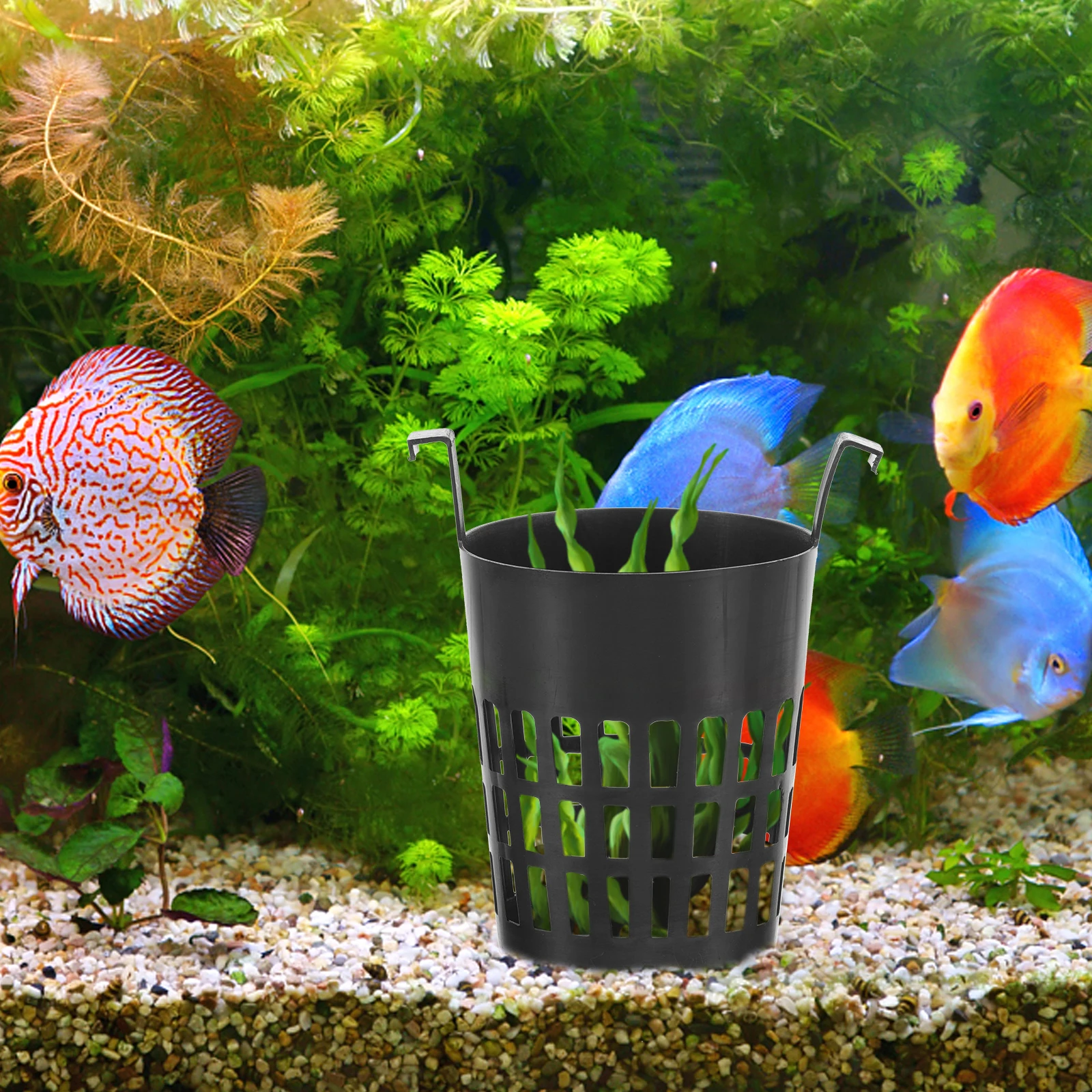 

6pcs Hydroponic Garden Plant Basket Planting Baskets Aquatic Plant Holders Fish Tank Decor Nursery Pots Garden Containers