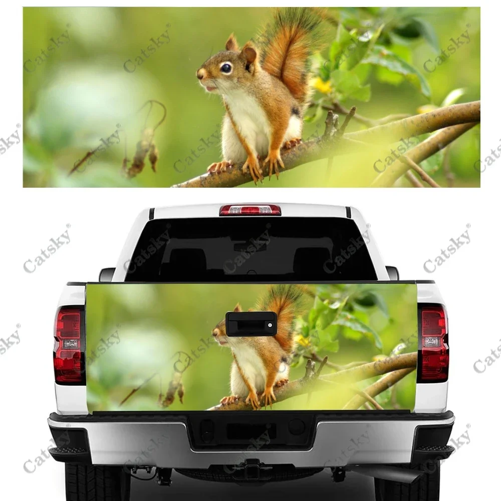 

Cute Squirrel Car Tail Trunk Protect Vinly Wrap Sticker Decal Auto Accessories Hood Decor Engine Cover for SUV Off-road Pickup