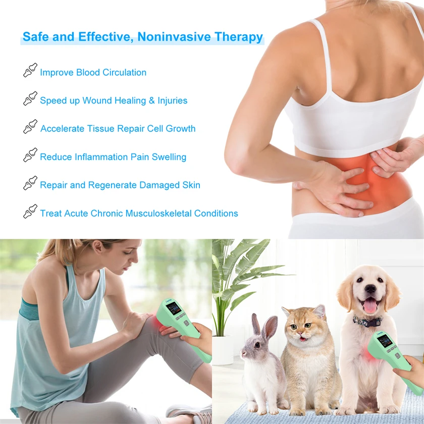 Dawfek Class Iv Laser Therapy Chiropractic 650nmx16+808nmx4 Low Level Laser Therapy Rheumatoid Arthritis for Human and Dog