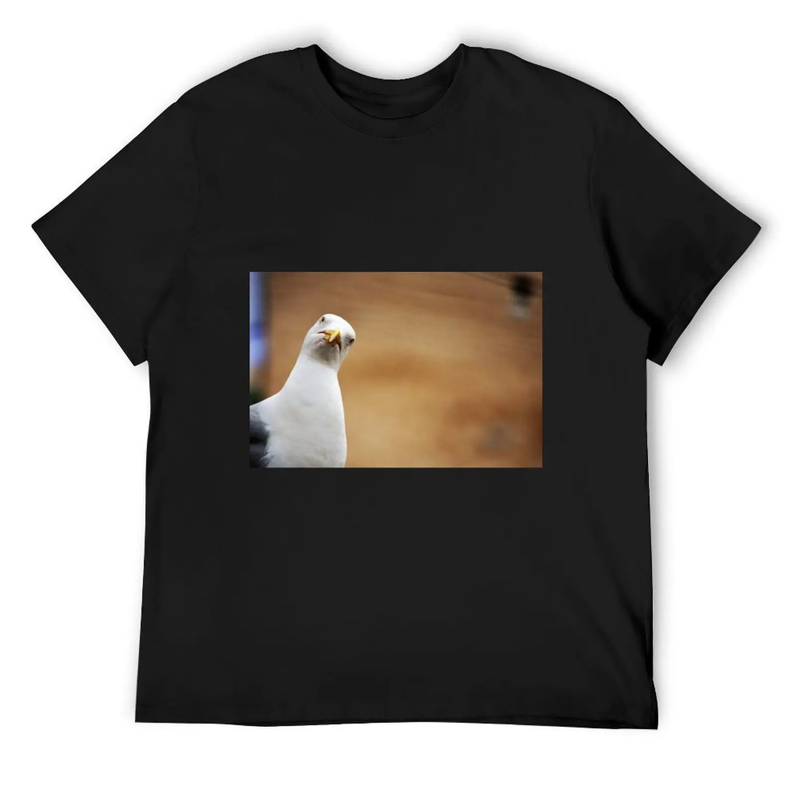 

Seagull T-Shirt sports fans summer clothes sweat clothing for men