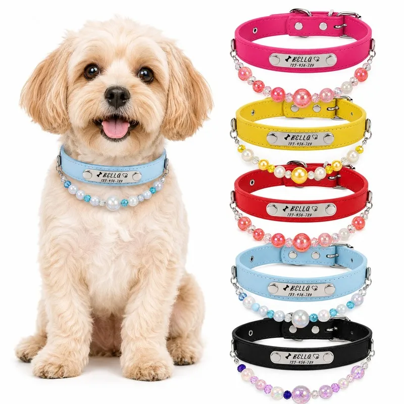 【Customize】Names phone numbers and bone paw print vector graphics, matched with pearl beaded decorative chains and metal ID tags