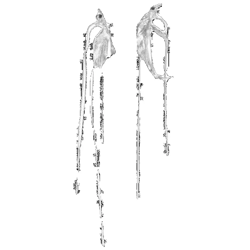 

Asymmetrical matte silver flower earrings women's niche long fringed earclips silver needle earrings