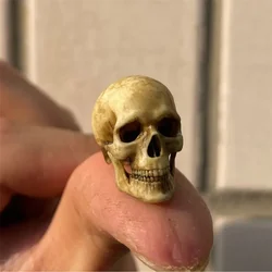 1:12 High Quality Skeleton Skull Miniature Model for Halloween Dollhouse Plant Fish Tank Decoration Home Decor