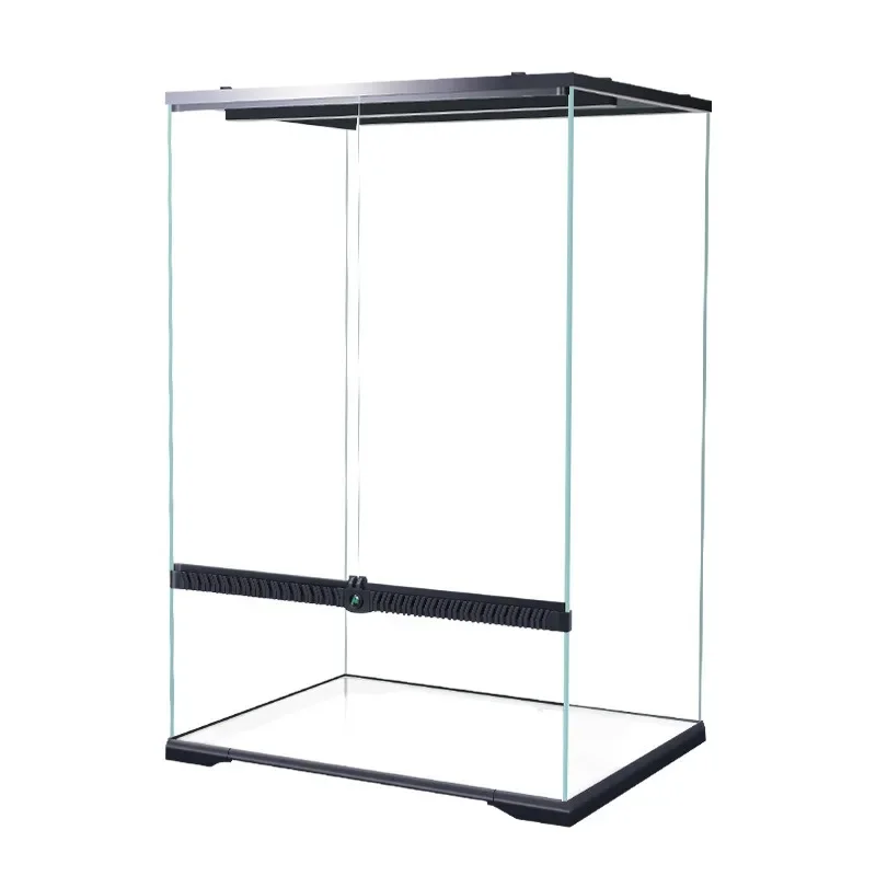 

Cylinder landscaping ultra-white glass box, tropical rainforest plant and animal feeding box