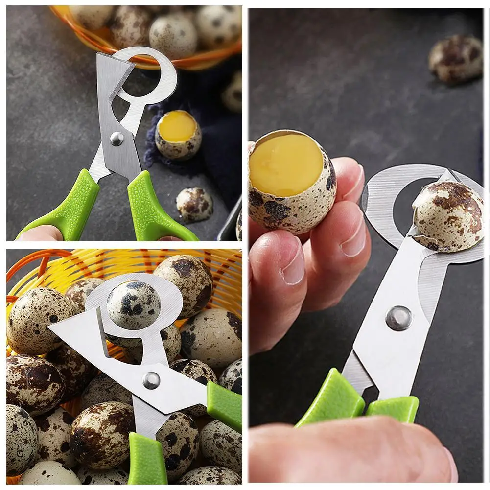 Pigeon Quail Open Crack Small Egg Shell Scissor Cut Bird Eggshell Separator Cigar Cutter Opener Tool Clipper Cracker Blade Shear