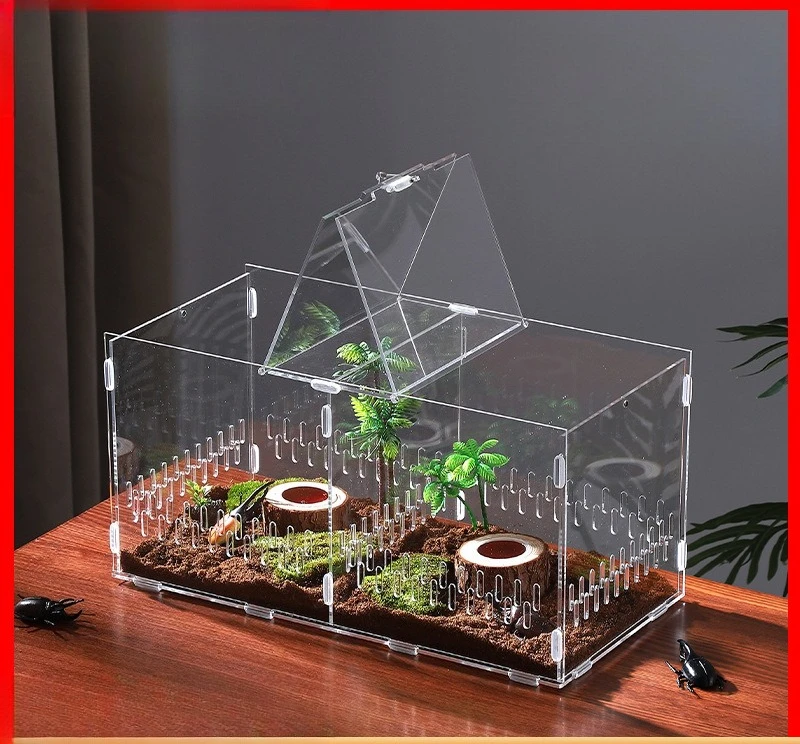 Small climbing pet living box rainforest landscaping visual viewing box