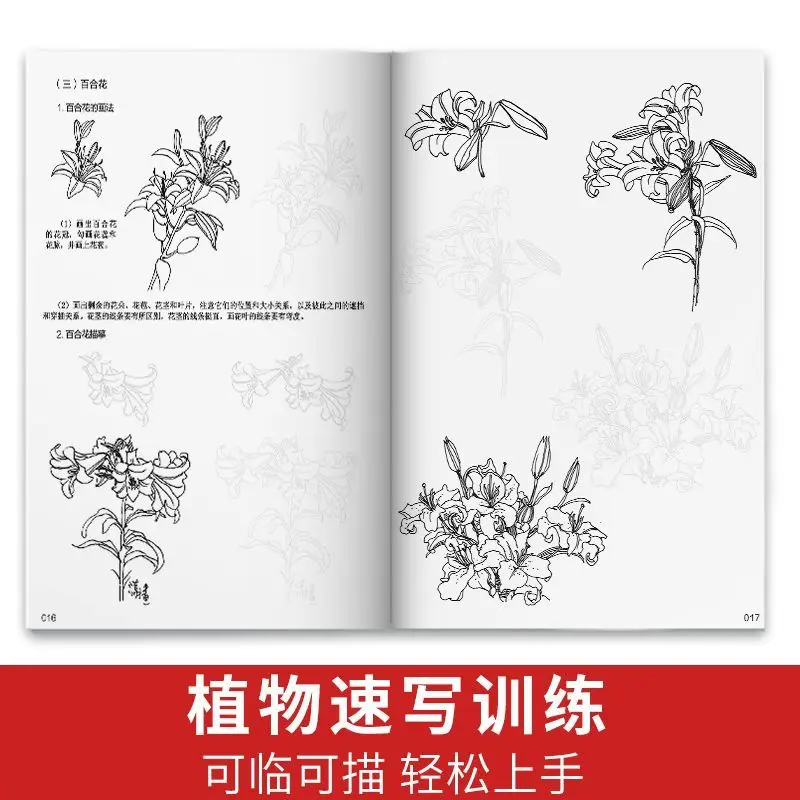 HVV New Sketching Basic Tutorial Book: Basic Sketching and Selected Copying Examples for Beginners in Painting, 196 Pages