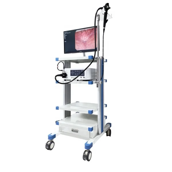 Flexible Medical Endoscope System Gastroscope and Colonoscope Imaging System