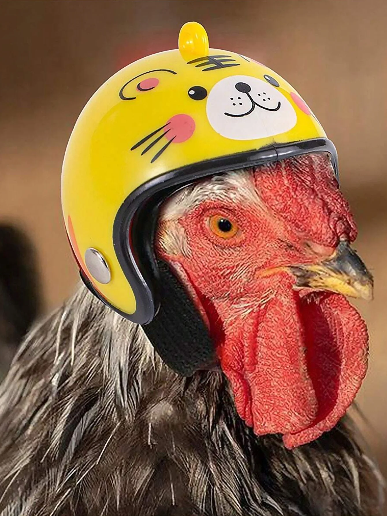 Helmhut: Der ideale Fahrradhelm für Sicherheit und Stil