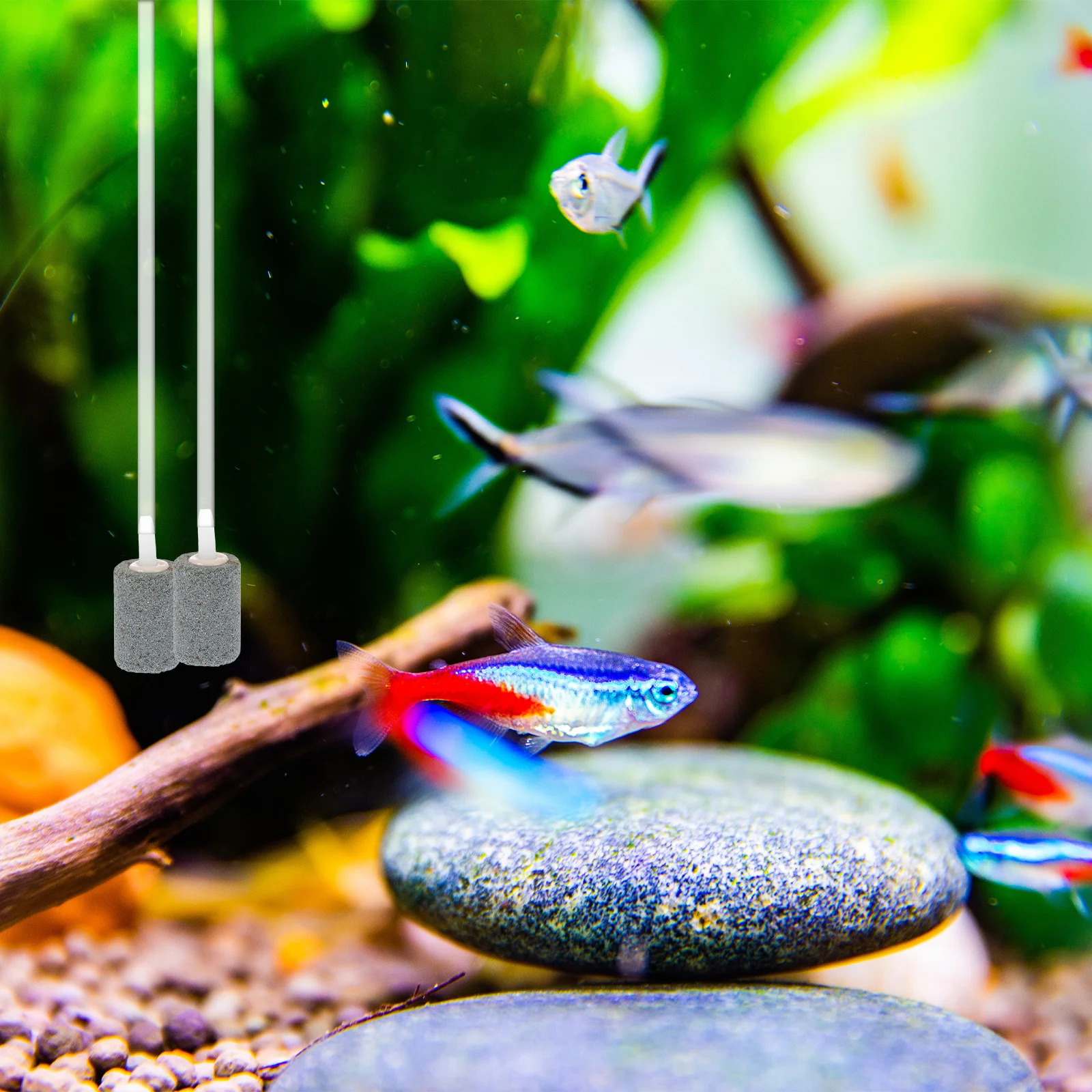 

1 set 1 Set Mini Fish Tank Usb Powered Silicone Air Aerator For Aquarium Portable Oxygen Pump Usb Oxygen Pump For Fish Tank