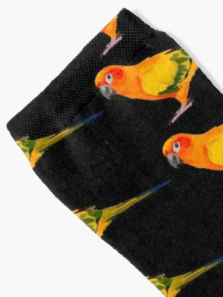 S مخصص لهدايا الشتاء Sun Conure Socks، جوارب رياضية رائعة وسعيدة للرجال والنساء