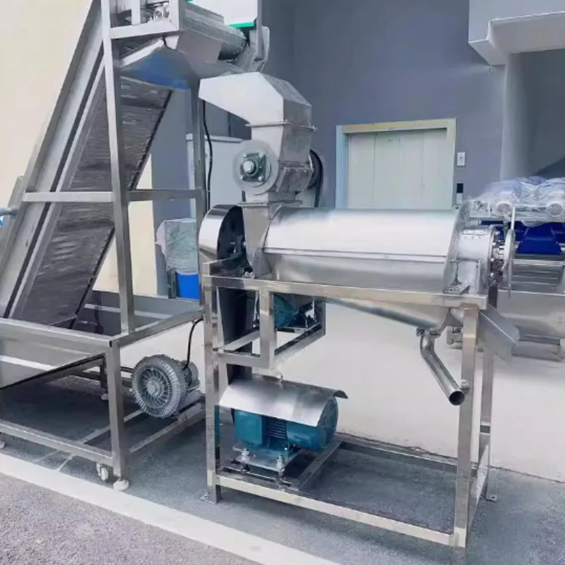 High Quality Commercial Fruit Juice Making Machine Industrial Cold Press Juicer Extractor Machine