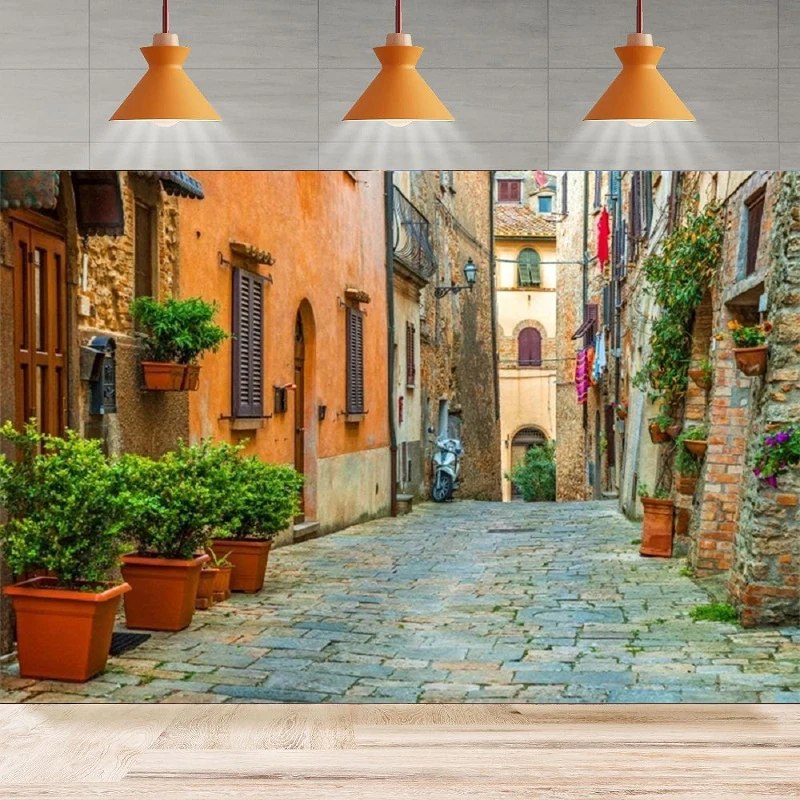 Photography Backdrop Italy Old Town Small Narrow Alley Street Landscape Green Vine Background Birthday Home Party Backdrop Wall