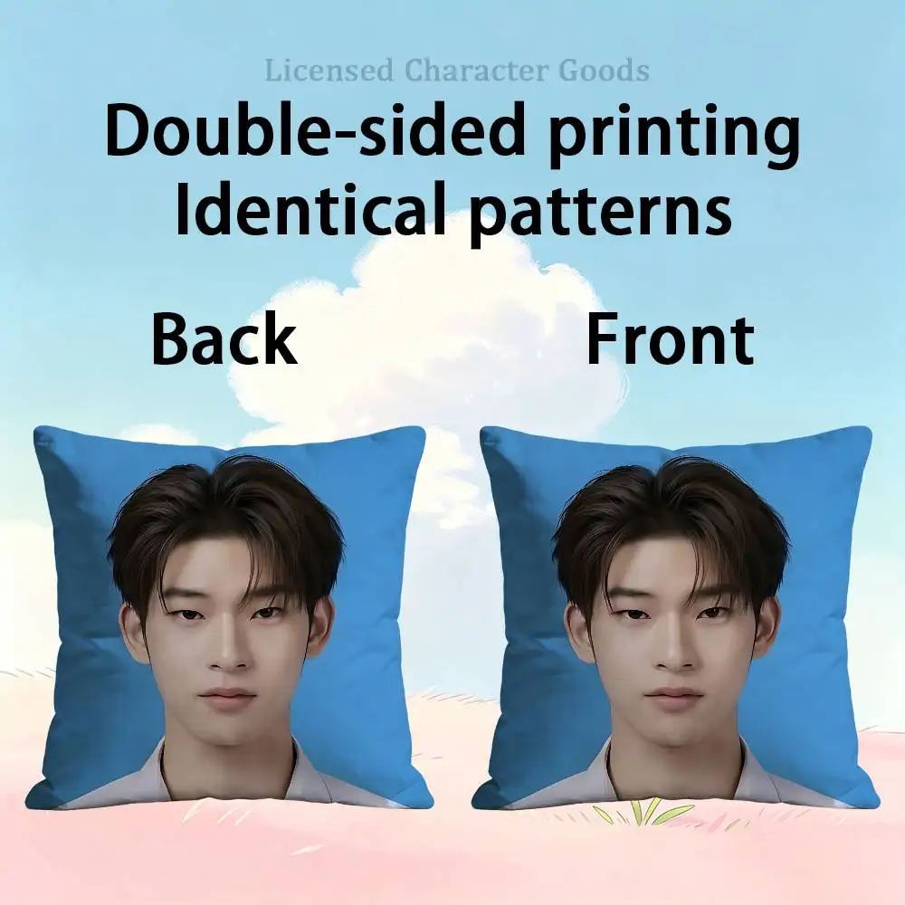 TEETEEPOR TeeTee Por 30x30 35x35 40x40 45x45 50x50 cm Fade Resistant Throw Pillow Cover Pet Friendly Patio Sofa Decor