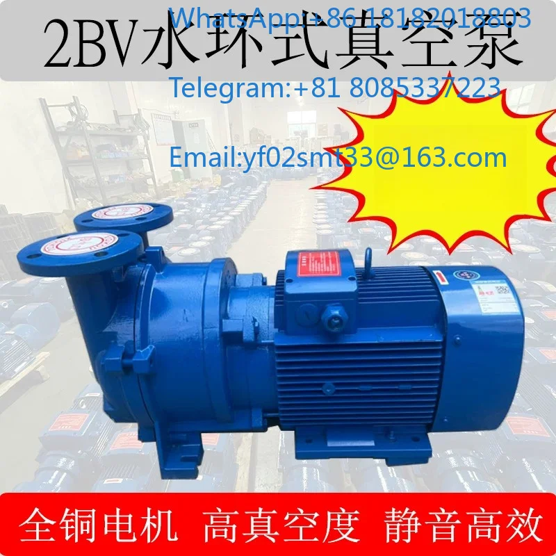 2BV Liquid Ring Vacuum Pump Industrial Air Pump With Cast Iron Stainless Steel Impeller