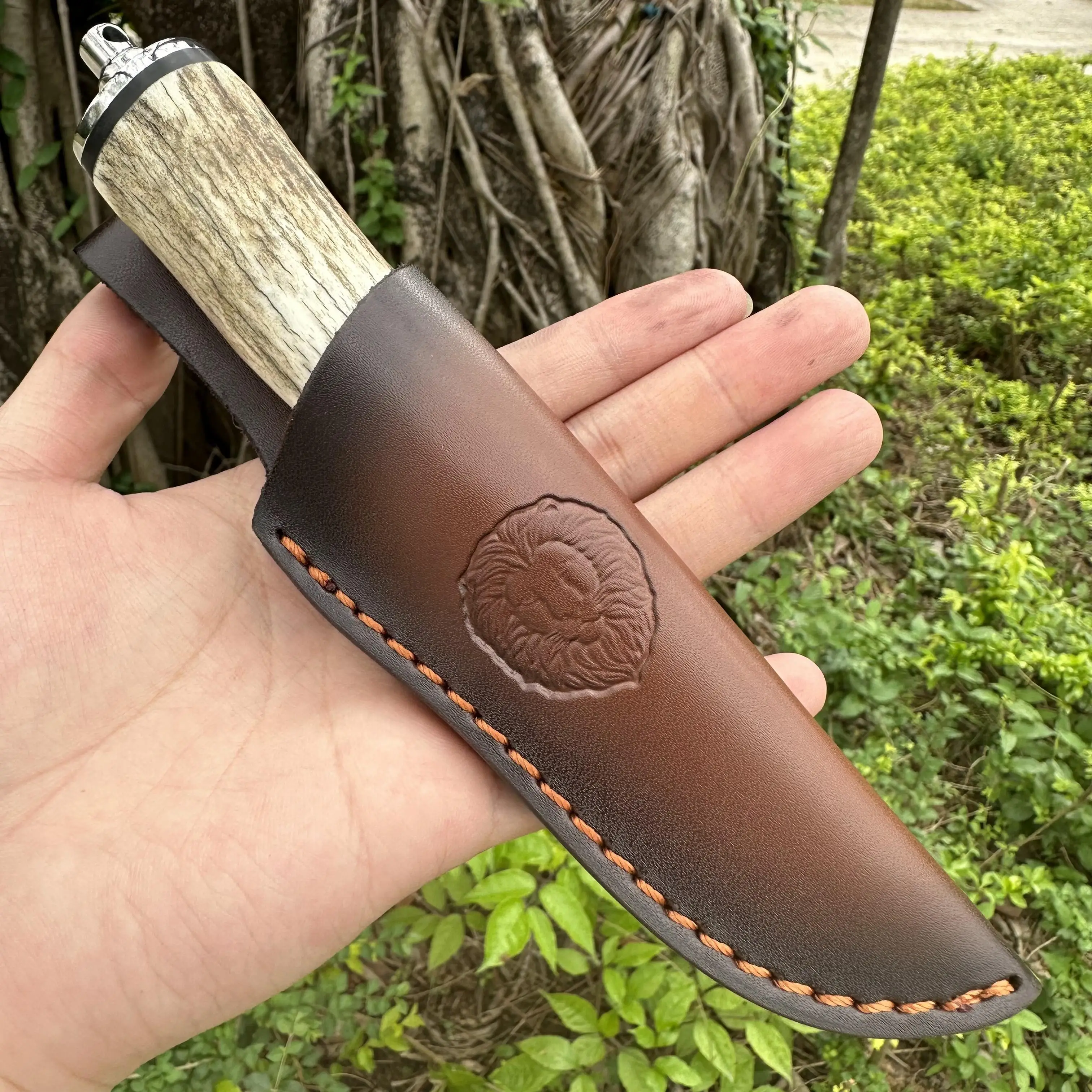 Topwell Handmade Knife VG10 Damscus Blade Antler Handle With Brass Head Premiun Leather Sheath Super Sharp Perfect Collection