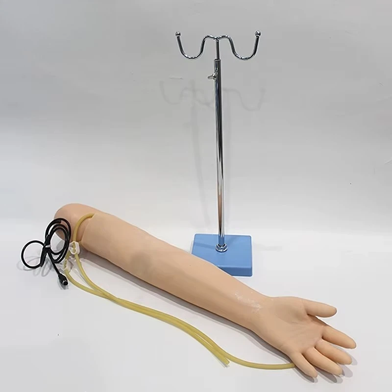 

Medical advanced arm blood pressure measurement training model