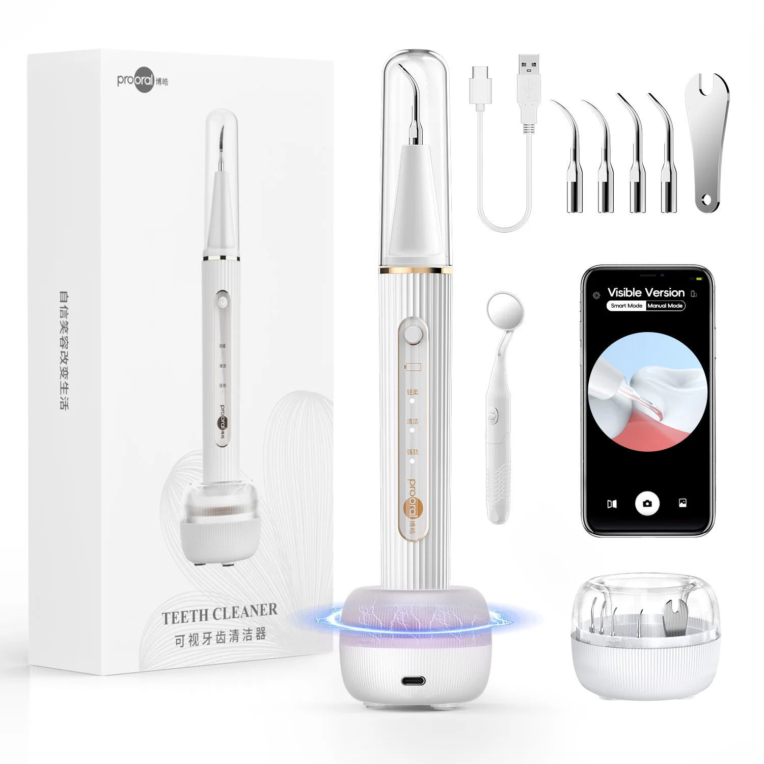 مزيل البلاك/الترار للأسنان، مجموعة تنظيف مزيل حساب التفاضل والتكامل للأسنان مع ضوء LED - 4 رؤوس وحقيبة شحن معقمة بالأشعة فوق البنفسجية #1