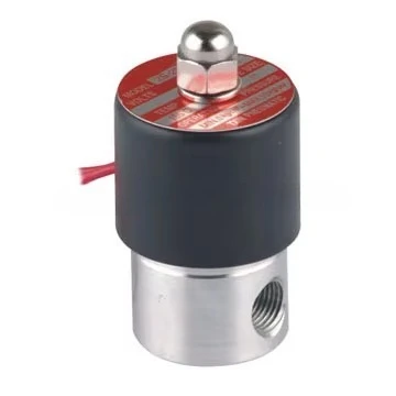 1/4'' Stainless Steel Electric Solenoid Water Valve FKM 2S025-08 AC220V with OEM Customization Support