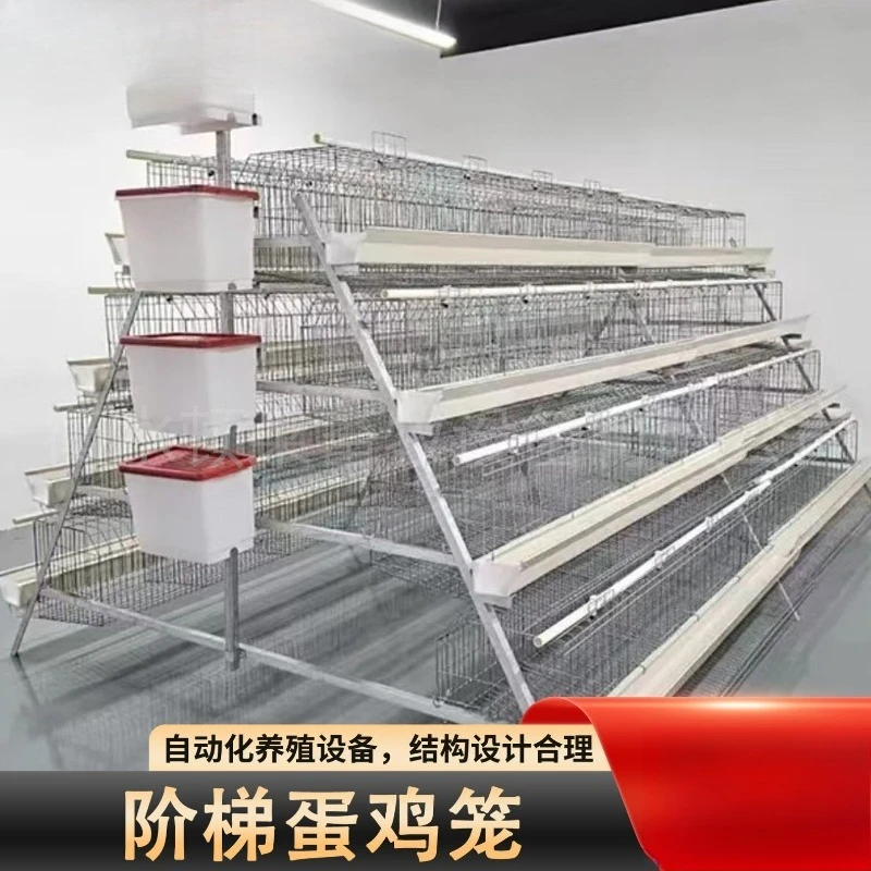 Ladder laying chicken cage, four floors and four doors, stacked breeding chicken cage