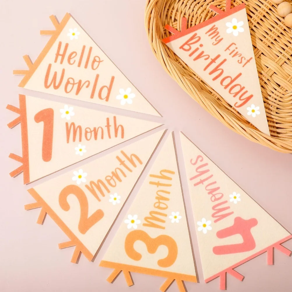 14 Pcs Baby Milestone Pennant Banner Set: Celebrate Every Month's Joy Home Crafts Supplies Home Decorations