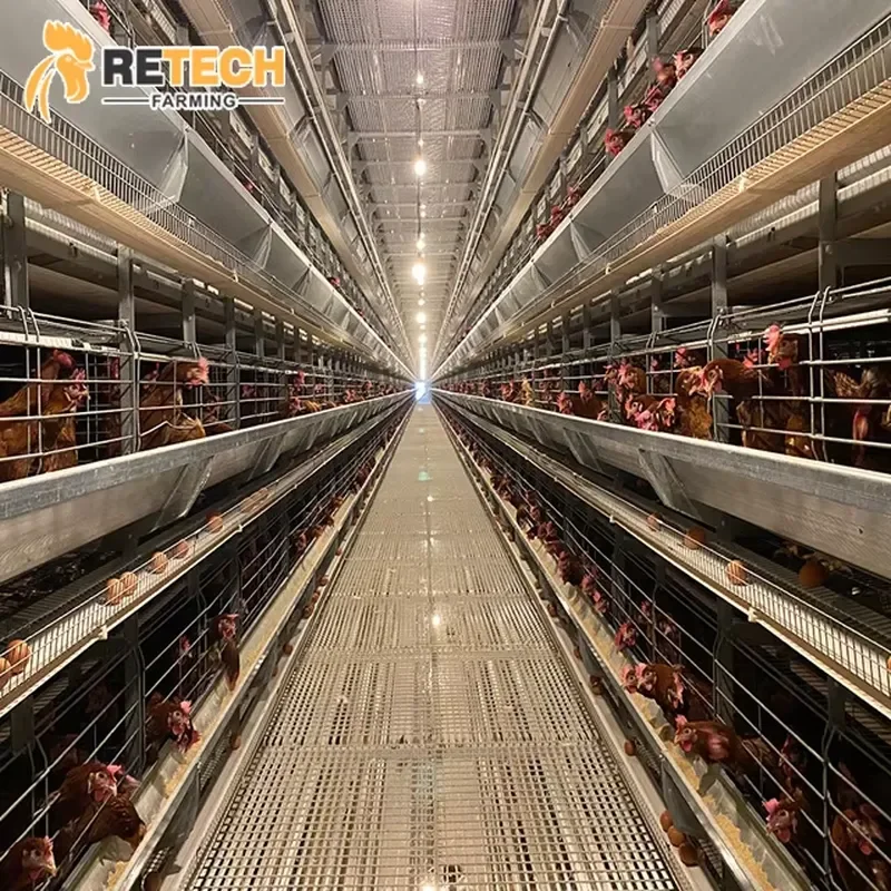 High Quality Hot Dipped Galvanized Steel Automatic H Type Laying Hen Cages for Poultry Farming Equipment with Egg Collecting
