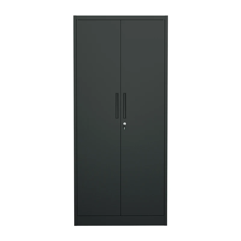 

Современный 2-дверный стальной шкаф для офисного персонала, школы и тренажерного зала, шкаф для спальни, шкафчик для хранения одежды, металлическая мебель