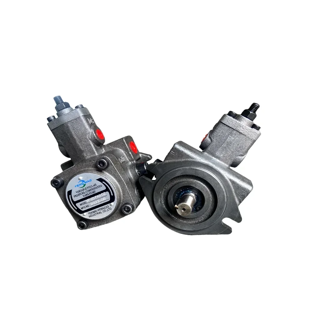 Variable vane pump VP-20-FA3 hydraulic pump assembly VP-30-FA3 hydraulic oil pump head SF hydraulic station accessories