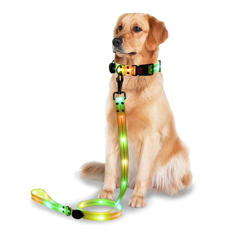 

LED Dog Leash&Collar Luminous Waterproof Easy-Cleaning Rechargeable Durable Nylon Pet Collar for Outdoor Dog Walking at Night