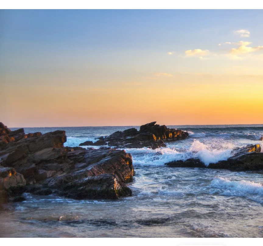 

A0009 9g Micro Servo All Metal Gears and Metal Housing High Torque Digital 4.8-6.0V for RC Helicopter Plane Car Robot