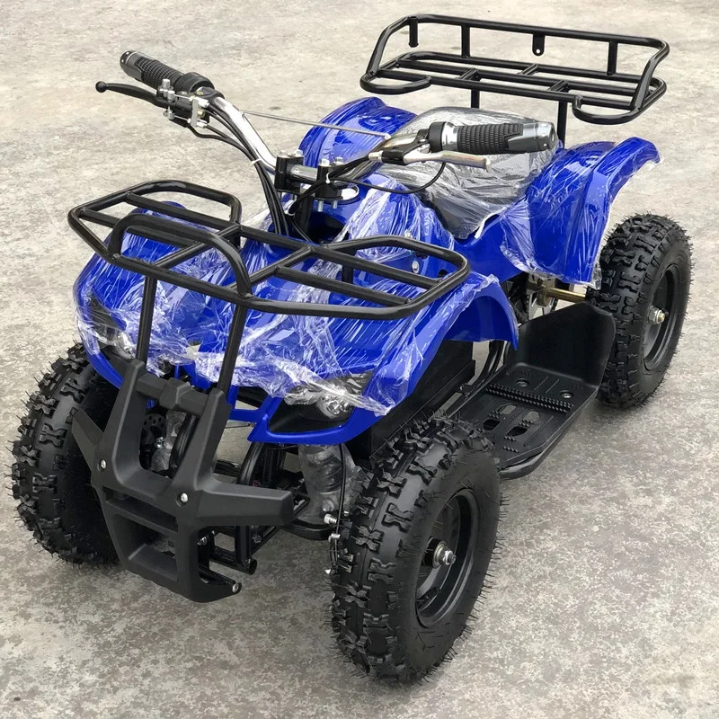 49cc 2-Stroke Kids Mini Quad Bike ATV with Chain Drive Automatic Transmission 2WD Disc Brakes