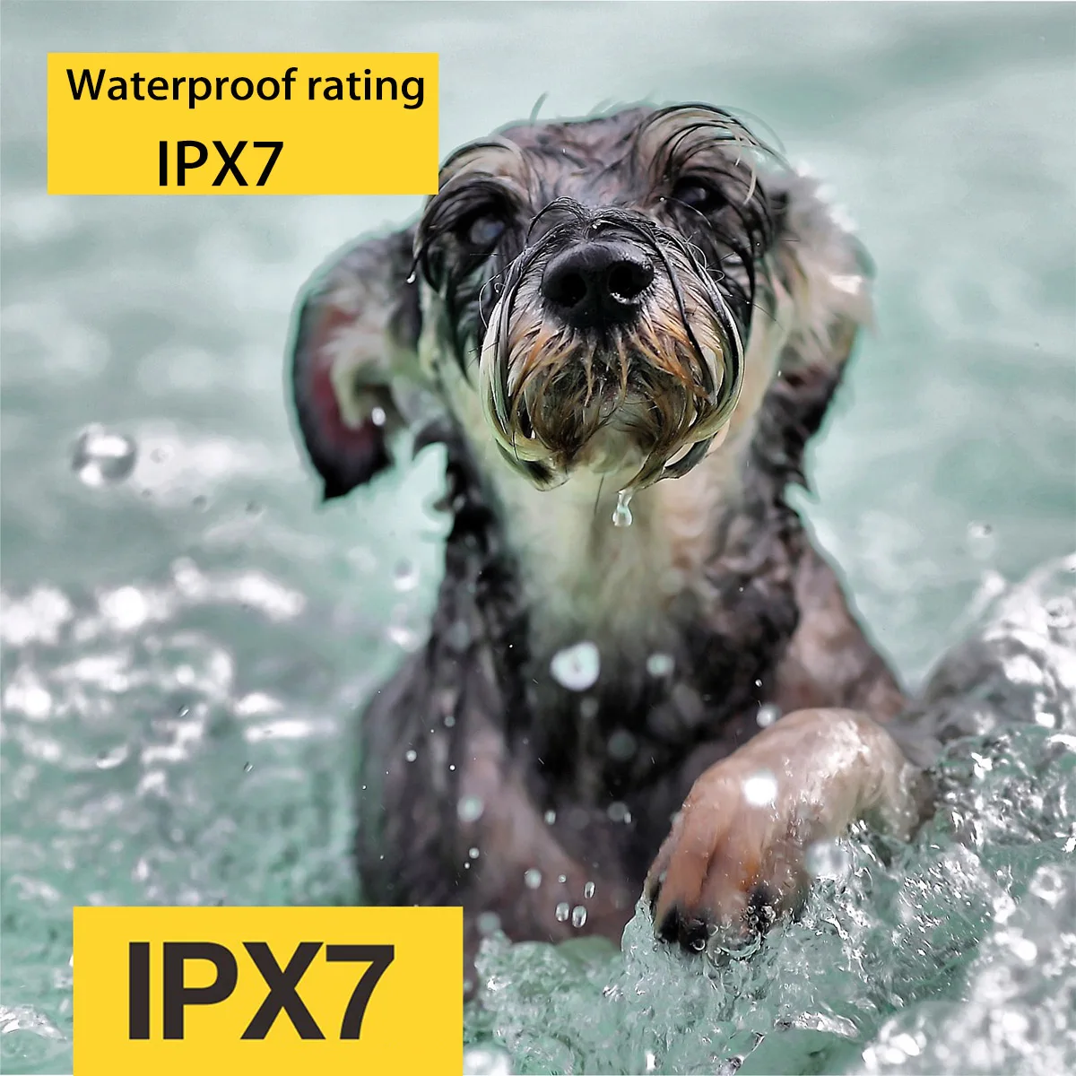 

Dog Training Collar with Remote IPX7 Waterproof Electric Collar with 3 Training Modes Security Lock Rechargeable Collar for Dogs
