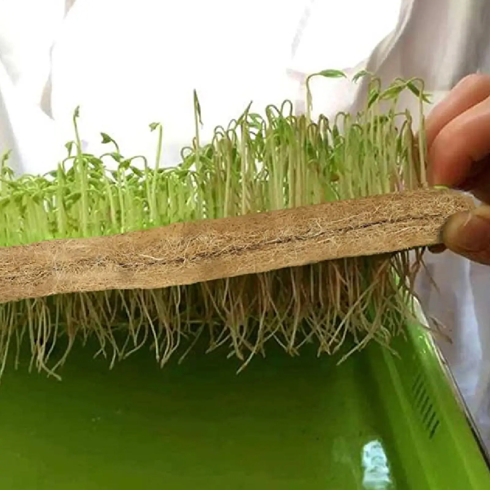 Jute Grow Mat 8 Pieces Jute Growing Seedling Pads 10x20 Inch Organic Germination Mat for Beginner Indoor Home Garden Balcony