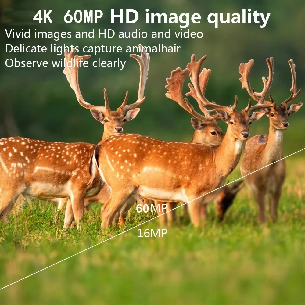 Câmera de Caça ao Ar Livre 60M - Outdoor Hunting Camera Wifi avaliação e preço