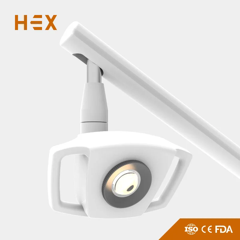 KD-2012D-9 LED Dental Light ENT Veterinary Medical Examination Light